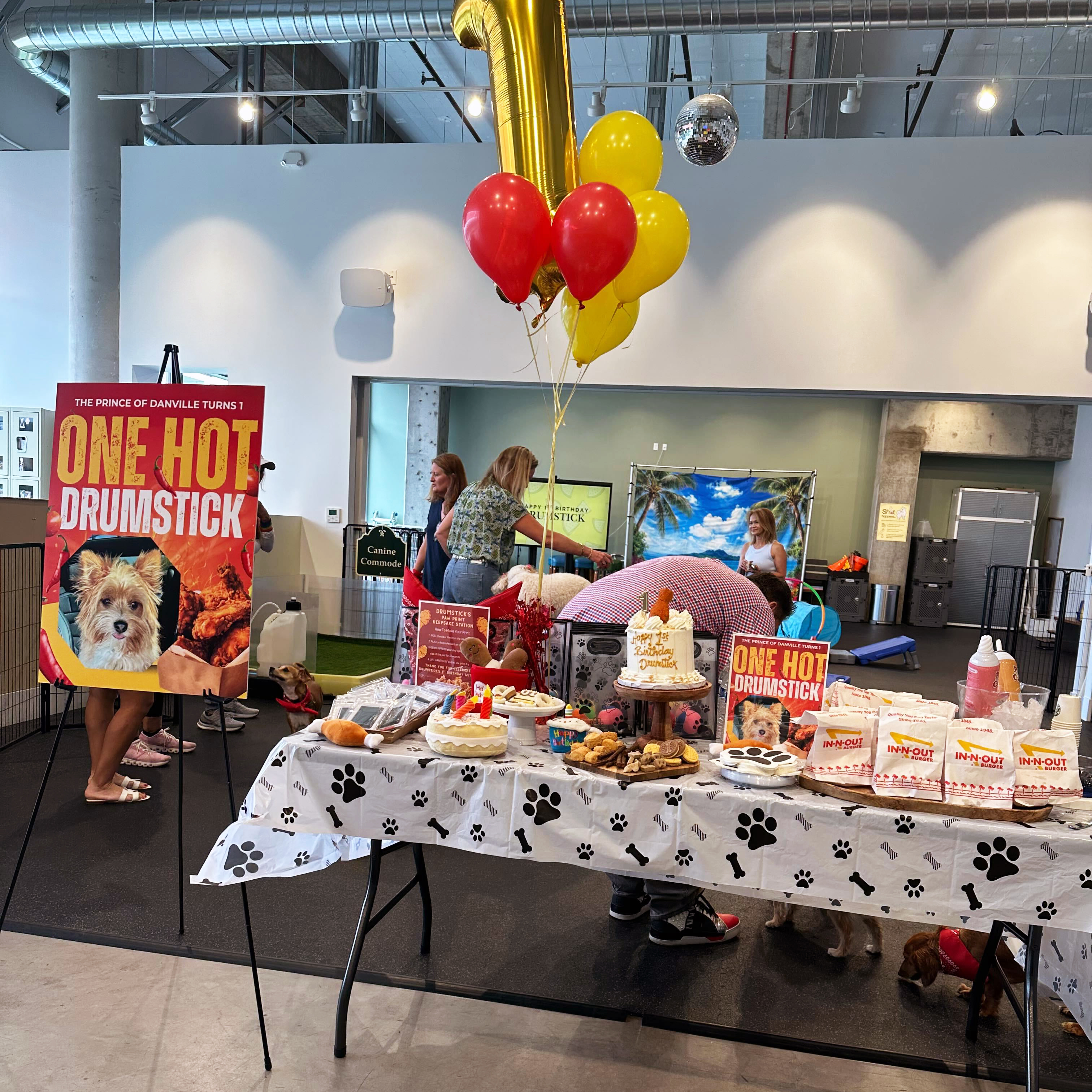A dog party at The Hub